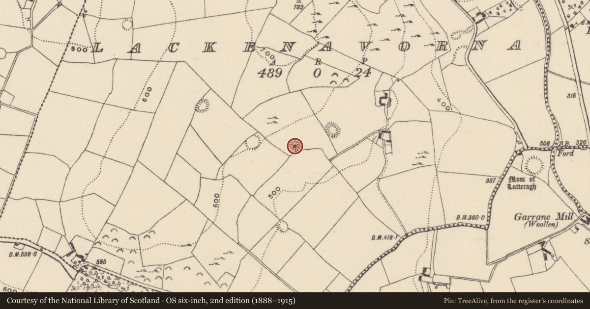 Ordnance Survey six-inch map, 2nd edition (1888–1915) covering the location of Ringfort - rath, Lackenavorna, County Tipperary North, with a pin at the register's coordinates