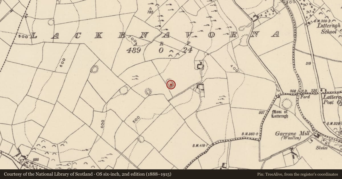 Ordnance Survey six-inch map, 2nd edition (1888–1915) covering the location of Ringfort - rath, Lackenavorna, County Tipperary North, with a pin at the register's coordinates