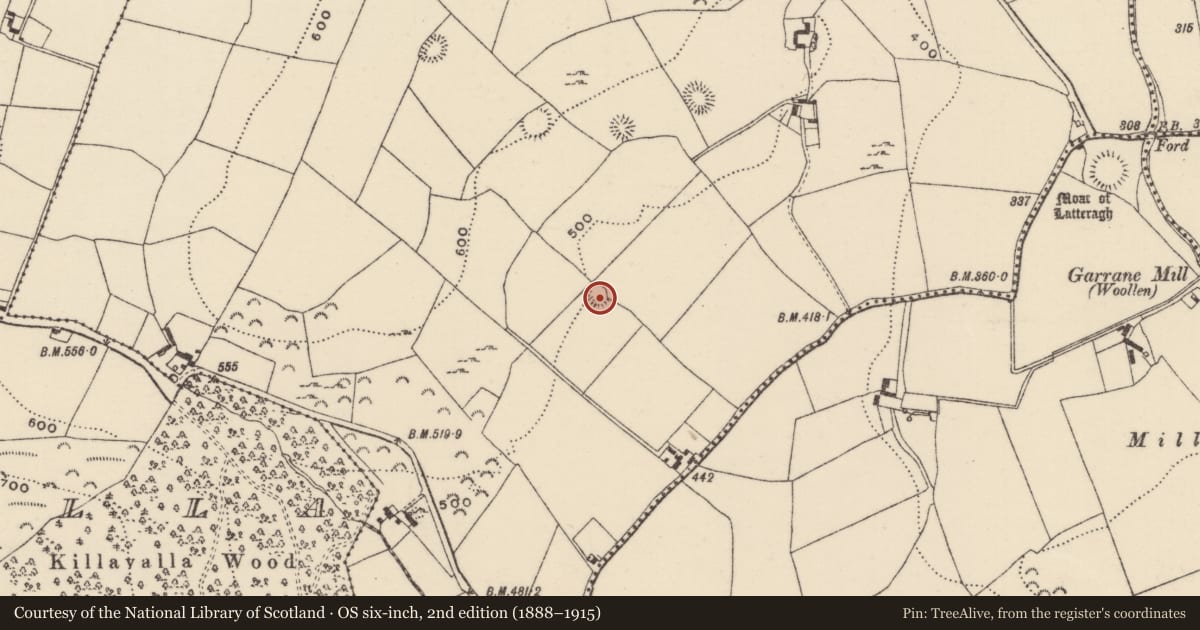 Ordnance Survey six-inch map, 2nd edition (1888–1915) covering the location of Ringfort - rath, Lackenavorna, County Tipperary North, with a pin at the register's coordinates