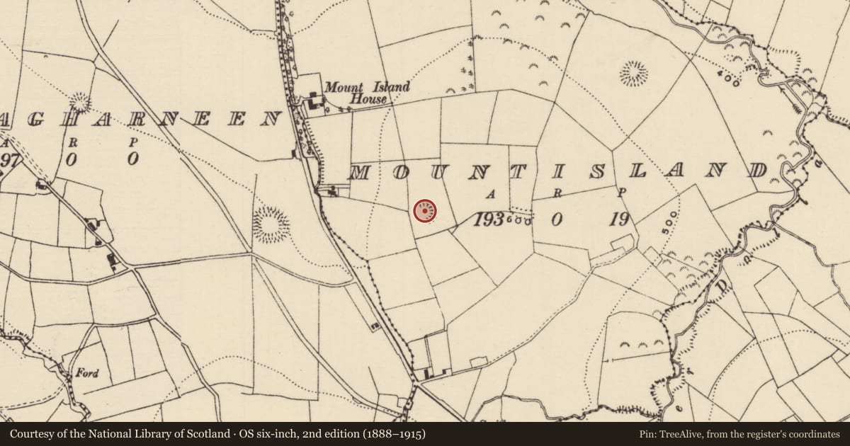 Ordnance Survey six-inch map, 2nd edition (1888–1915) covering the location of Ringfort - rath, Mountisland, County Tipperary North, with a pin at the register's coordinates