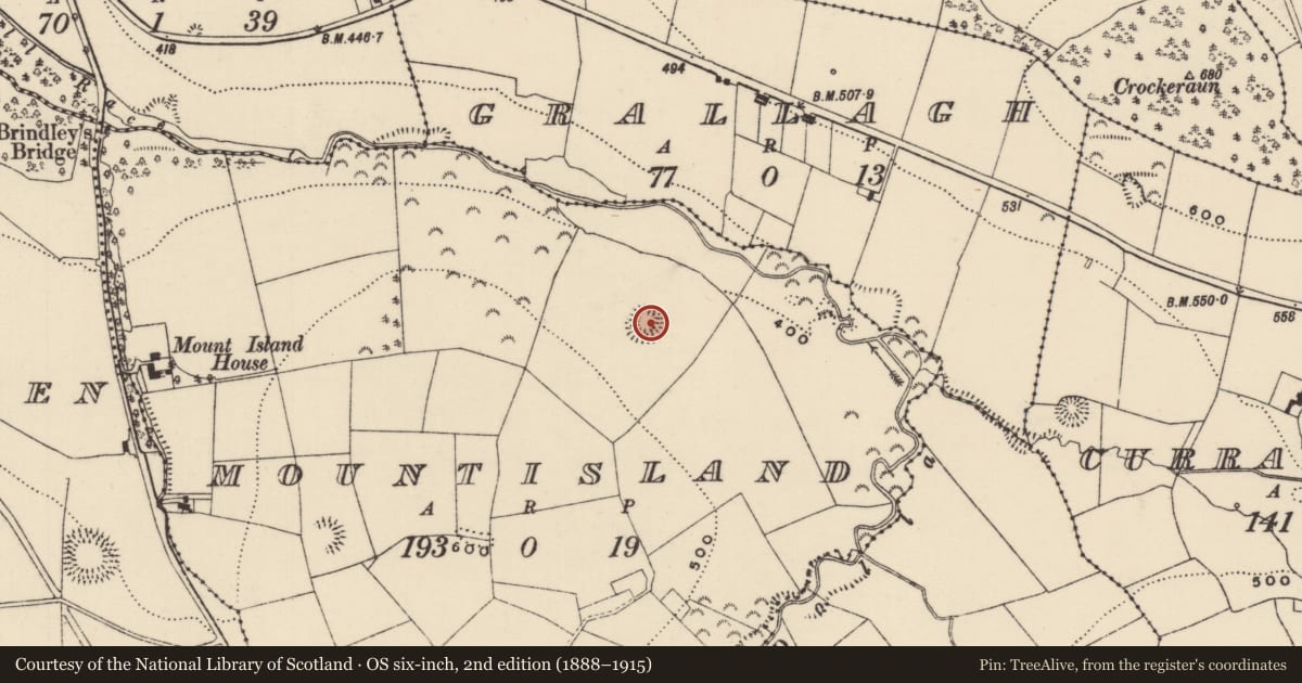 Ordnance Survey six-inch map, 2nd edition (1888–1915) covering the location of Ringfort - rath, Mountisland, County Tipperary North, with a pin at the register's coordinates