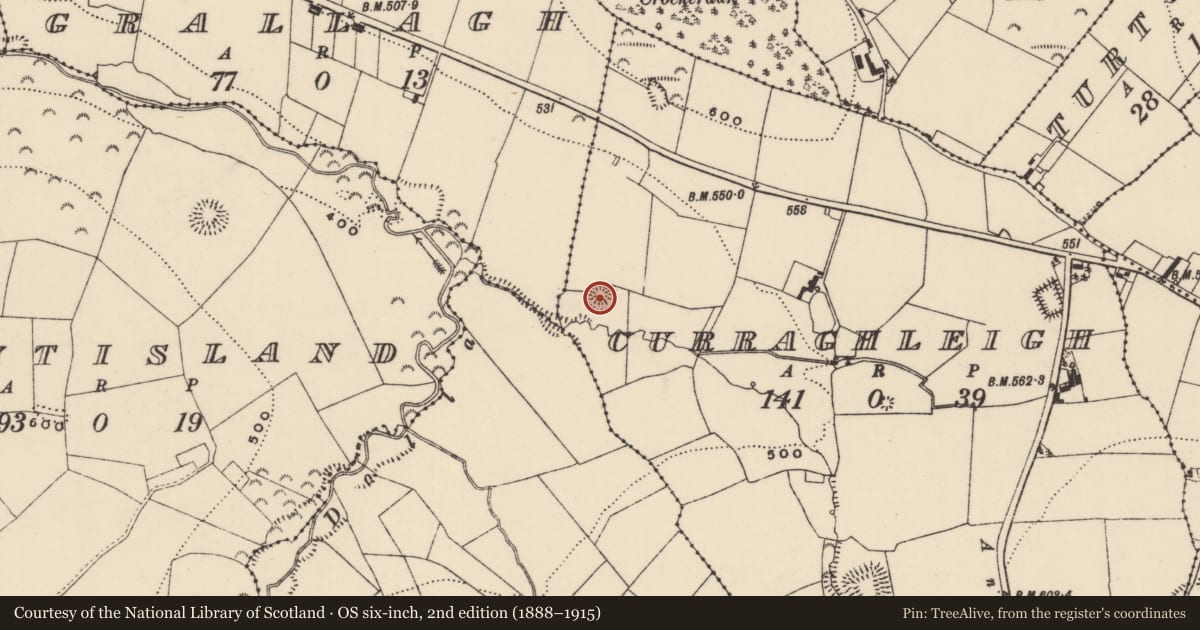 Ordnance Survey six-inch map, 2nd edition (1888–1915) covering the location of Ringfort - rath, Curraghleigh (Dolla Par.), County Tipperary North, with a pin at the register's coordinates