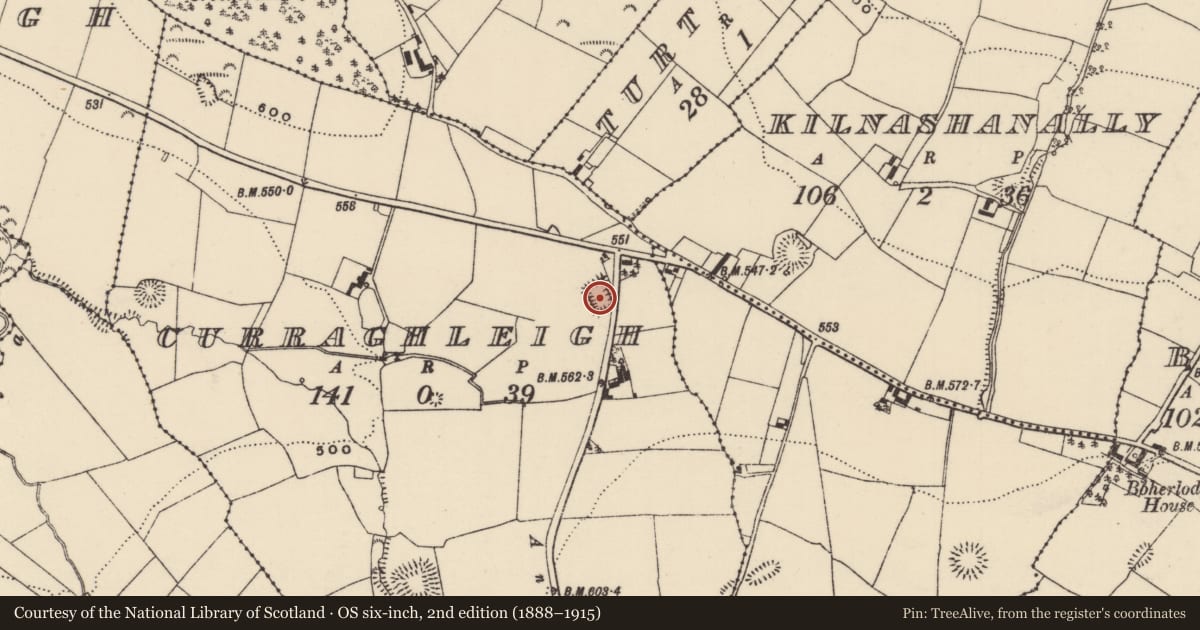 Ordnance Survey six-inch map, 2nd edition (1888–1915) covering the location of Moated site, Curraghleigh (Dolla Par.), County Tipperary North, with a pin at the register's coordinates