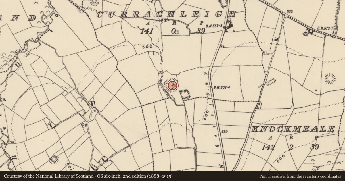 Ordnance Survey six-inch map, 2nd edition (1888–1915) covering the location of Moated site, Curraghleigh (Dolla Par.), County Tipperary North, with a pin at the register's coordinates