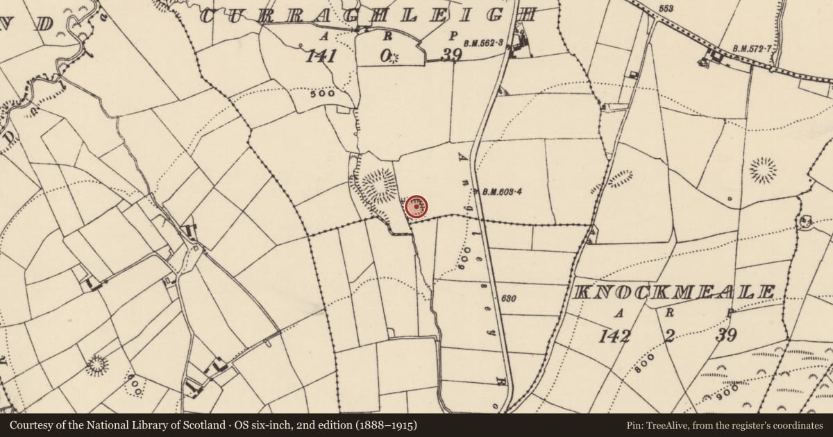 Ordnance Survey six-inch map, 2nd edition (1888–1915) covering the location of Moated site, Curraghleigh (Dolla Par.), County Tipperary North, with a pin at the register's coordinates