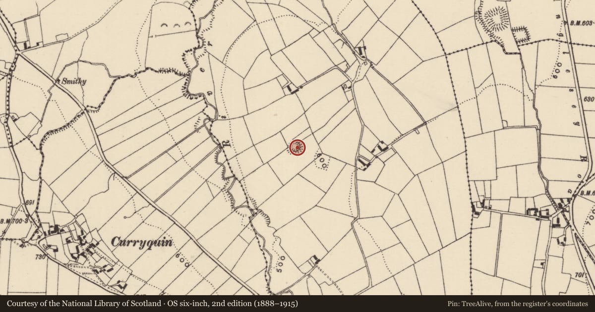 Ordnance Survey six-inch map, 2nd edition (1888–1915) covering the location of Ringfort - rath, Barnagore, County Tipperary North, with a pin at the register's coordinates