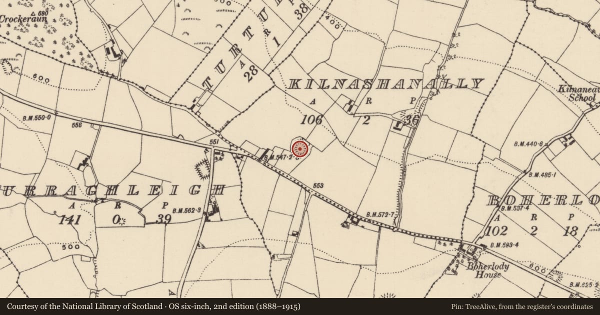 Ordnance Survey six-inch map, 2nd edition (1888–1915) covering the location of Ringfort - rath, Kilnashanally, County Tipperary North, with a pin at the register's coordinates