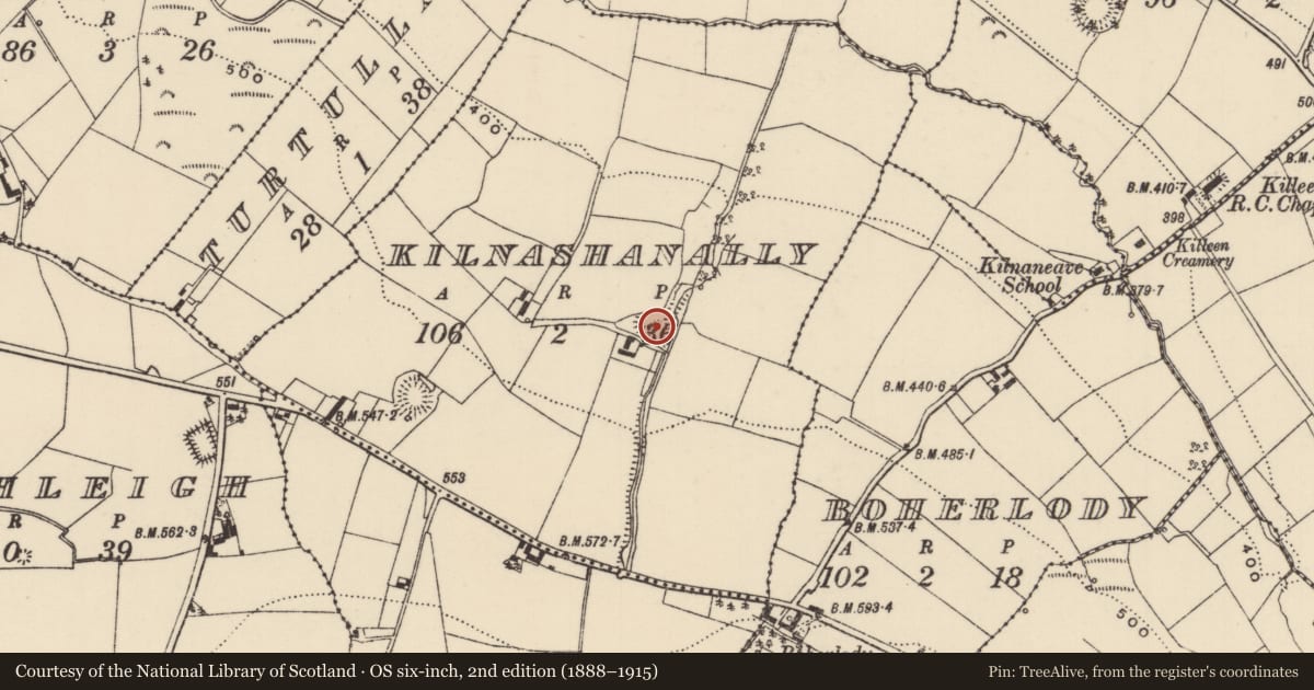 Ordnance Survey six-inch map, 2nd edition (1888–1915) covering the location of Ringfort - rath, Kilnashanally, County Tipperary North, with a pin at the register's coordinates