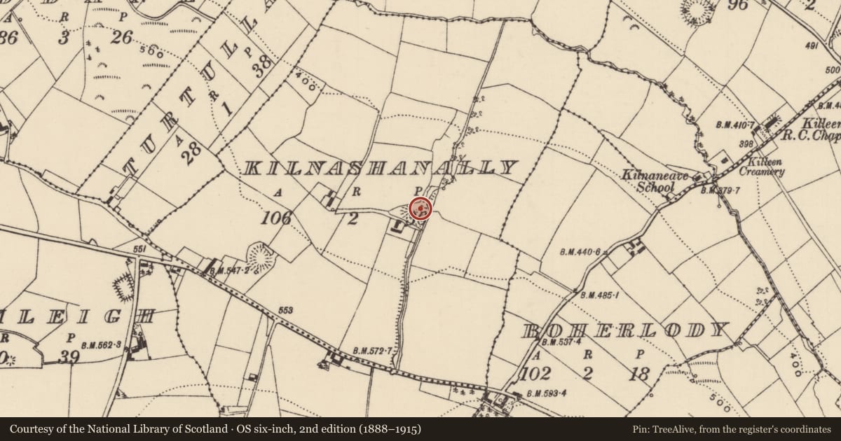 Ordnance Survey six-inch map, 2nd edition (1888–1915) covering the location of Burial ground, Kilnashanally, County Tipperary North, with a pin at the register's coordinates