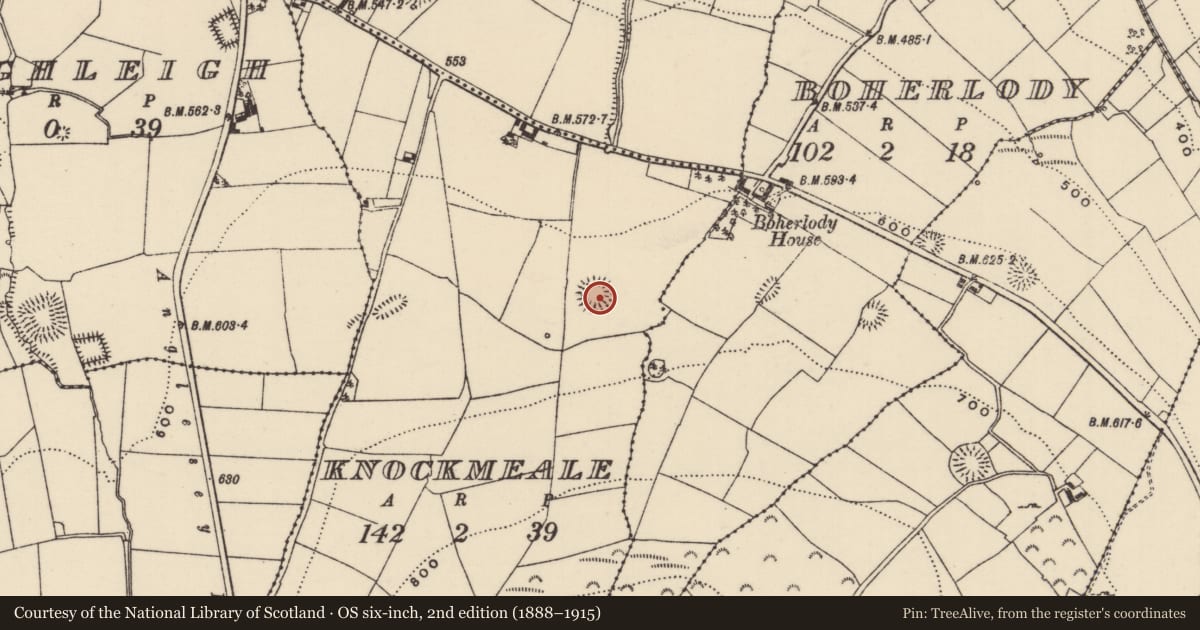 Ordnance Survey six-inch map, 2nd edition (1888–1915) covering the location of Ringfort - rath, Knockmeale (Dolla Par.), County Tipperary North, with a pin at the register's coordinates