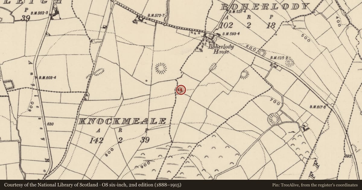 Ordnance Survey six-inch map, 2nd edition (1888–1915) covering the location of Enclosure, Boherlody, County Tipperary North, with a pin at the register's coordinates