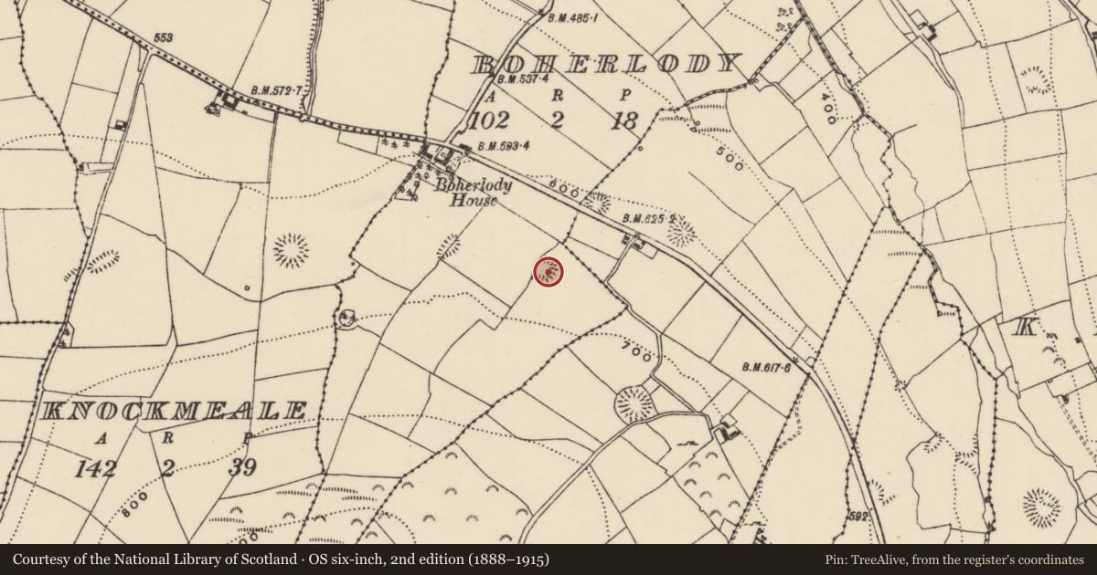Ordnance Survey six-inch map, 2nd edition (1888–1915) covering the location of Enclosure, Boherlody, County Tipperary North, with a pin at the register's coordinates