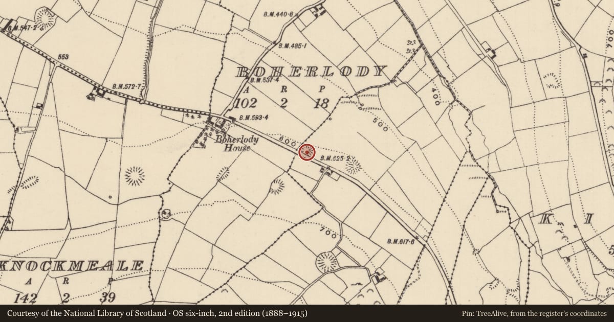 Ordnance Survey six-inch map, 2nd edition (1888–1915) covering the location of Ringfort - rath, Lisgarriff West, County Tipperary North, with a pin at the register's coordinates