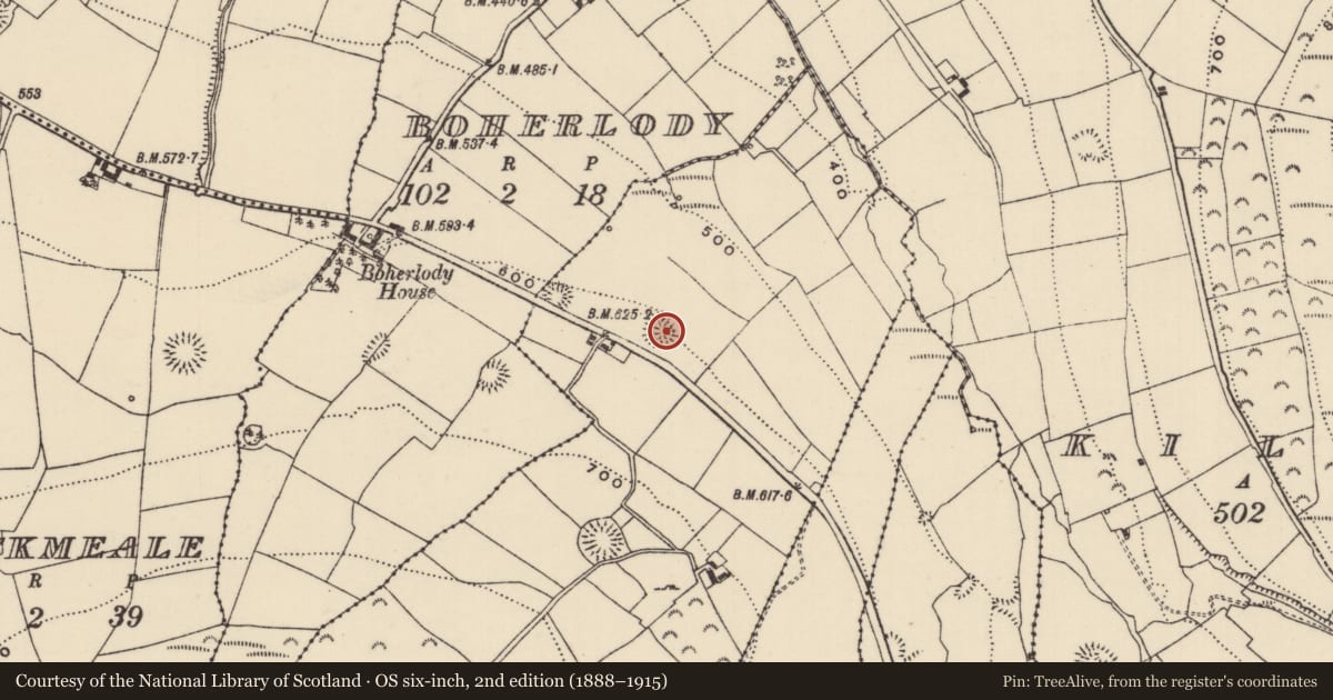 Ordnance Survey six-inch map, 2nd edition (1888–1915) covering the location of Ringfort - rath, Lisgarriff West, County Tipperary North, with a pin at the register's coordinates