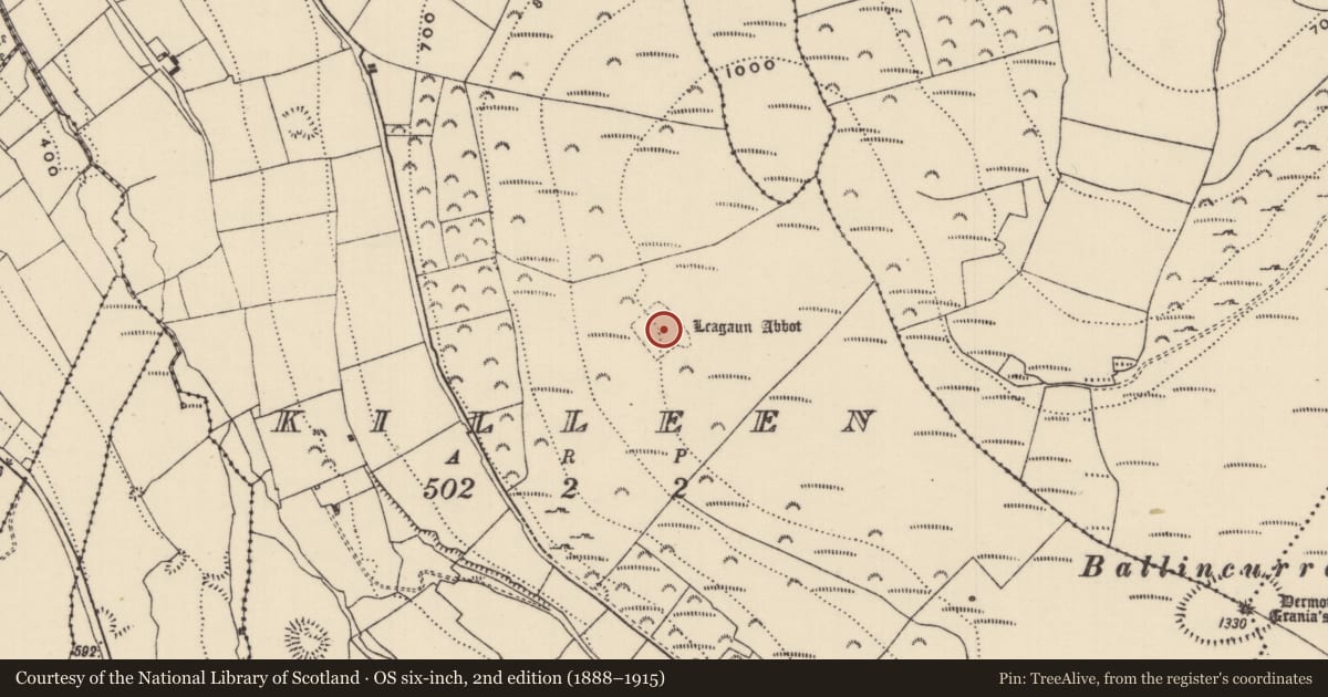 Ordnance Survey six-inch map, 2nd edition (1888–1915) covering the location of Burial ground, Killeen (Kilnaneave Par.), County Tipperary North, with a pin at the register's coordinates