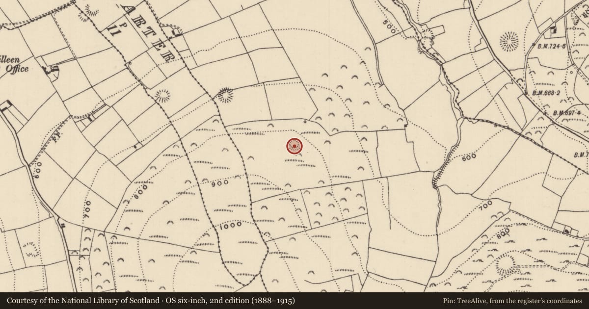 Ordnance Survey six-inch map, 2nd edition (1888–1915) covering the location of Ringfort - rath, Kilnaneave, County Tipperary North, with a pin at the register's coordinates