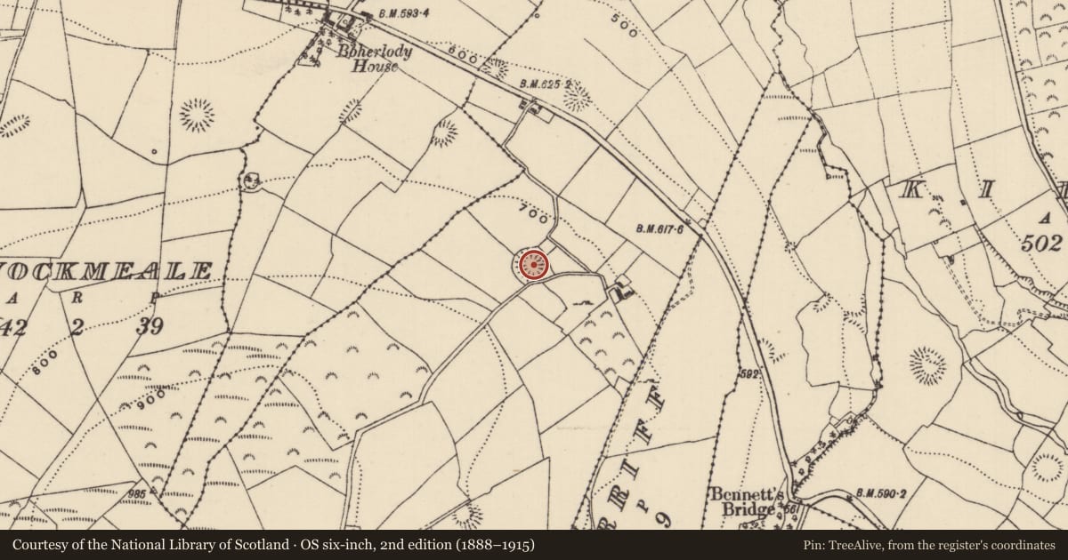 Ordnance Survey six-inch map, 2nd edition (1888–1915) covering the location of Ringfort - rath, Lisgarriff West, County Tipperary North, with a pin at the register's coordinates