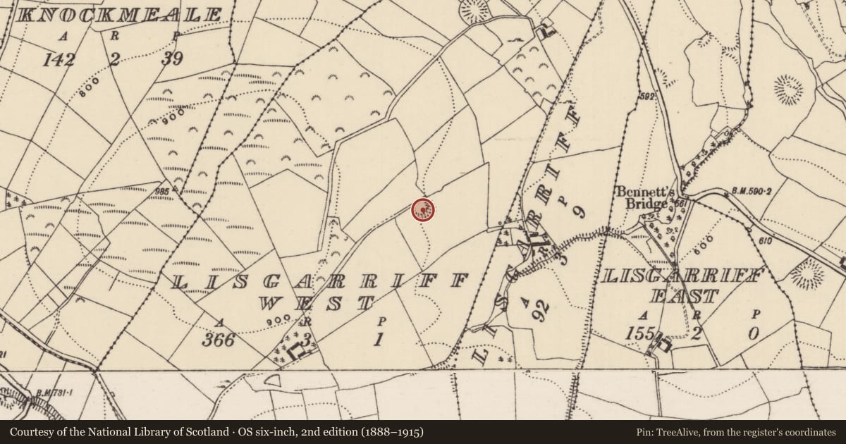 Ordnance Survey six-inch map, 2nd edition (1888–1915) covering the location of Ringfort - rath, Lisgarriff West, County Tipperary North, with a pin at the register's coordinates