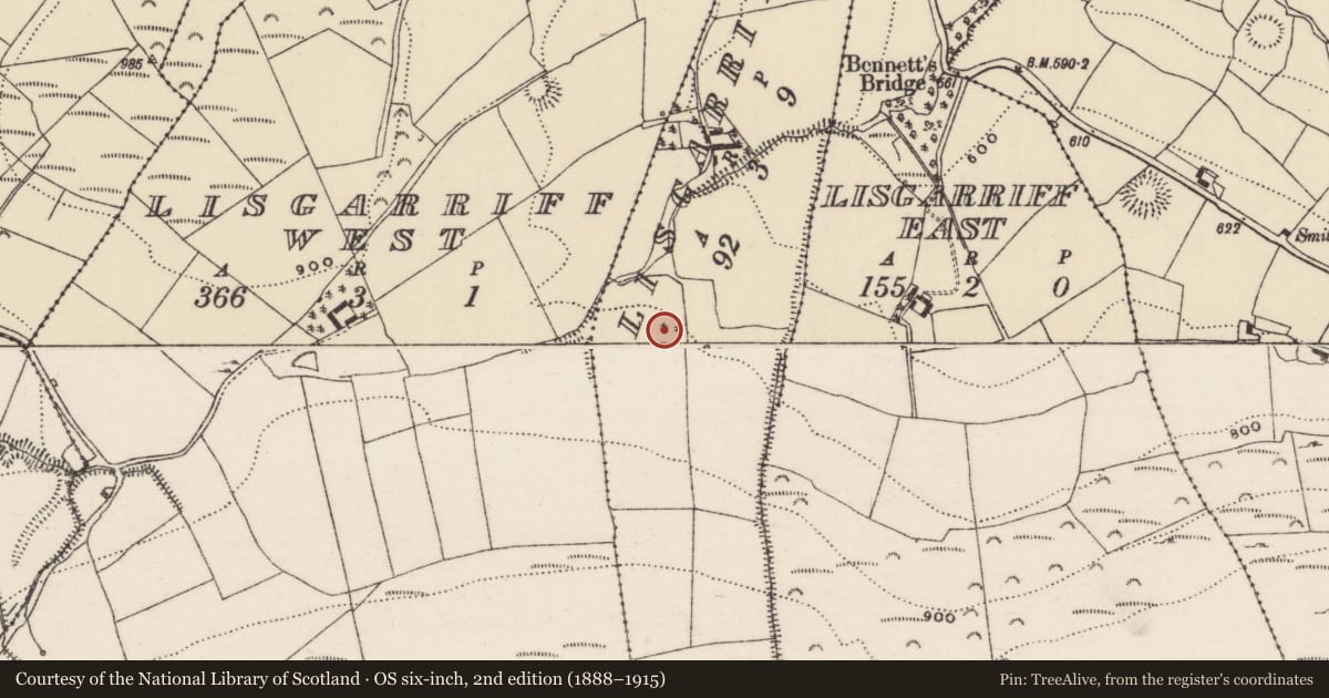 Ordnance Survey six-inch map, 2nd edition (1888–1915) covering the location of Ringfort - rath, Lisgarriff (Dolla Par.), County Tipperary North, with a pin at the register's coordinates