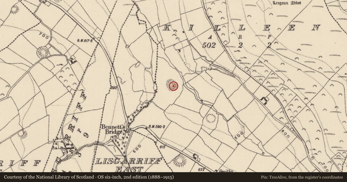 Ordnance Survey six-inch map, 2nd edition (1888–1915) covering the location of Ringfort - rath, Killeen (Kilnaneave Par.), County Tipperary North, with a pin at the register's coordinates