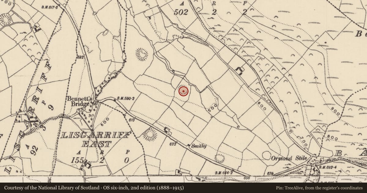 Ordnance Survey six-inch map, 2nd edition (1888–1915) covering the location of Ringfort - rath, Killeen (Kilnaneave Par.), County Tipperary North, with a pin at the register's coordinates