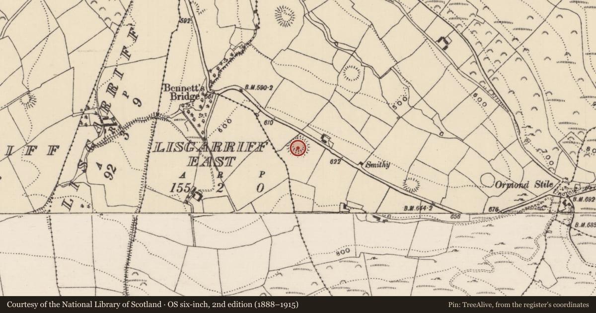 Ordnance Survey six-inch map, 2nd edition (1888–1915) covering the location of Ringfort - rath, Killeen (Kilnaneave Par.), County Tipperary North, with a pin at the register's coordinates