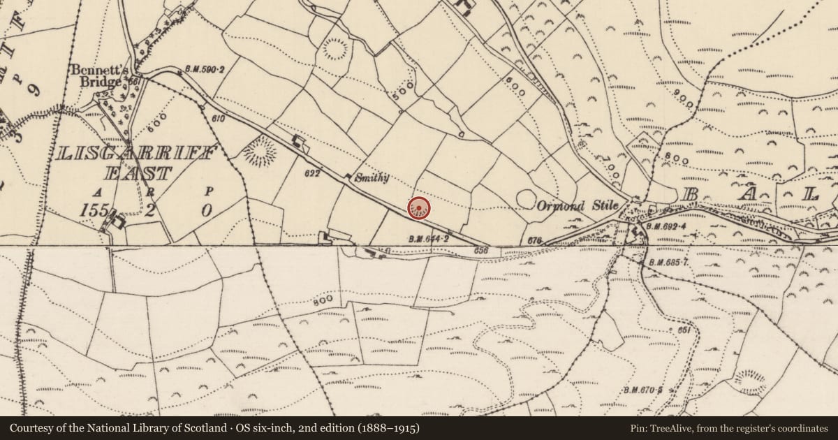 Ordnance Survey six-inch map, 2nd edition (1888–1915) covering the location of Ringfort - rath, Killeen (Kilnaneave Par.), County Tipperary North, with a pin at the register's coordinates