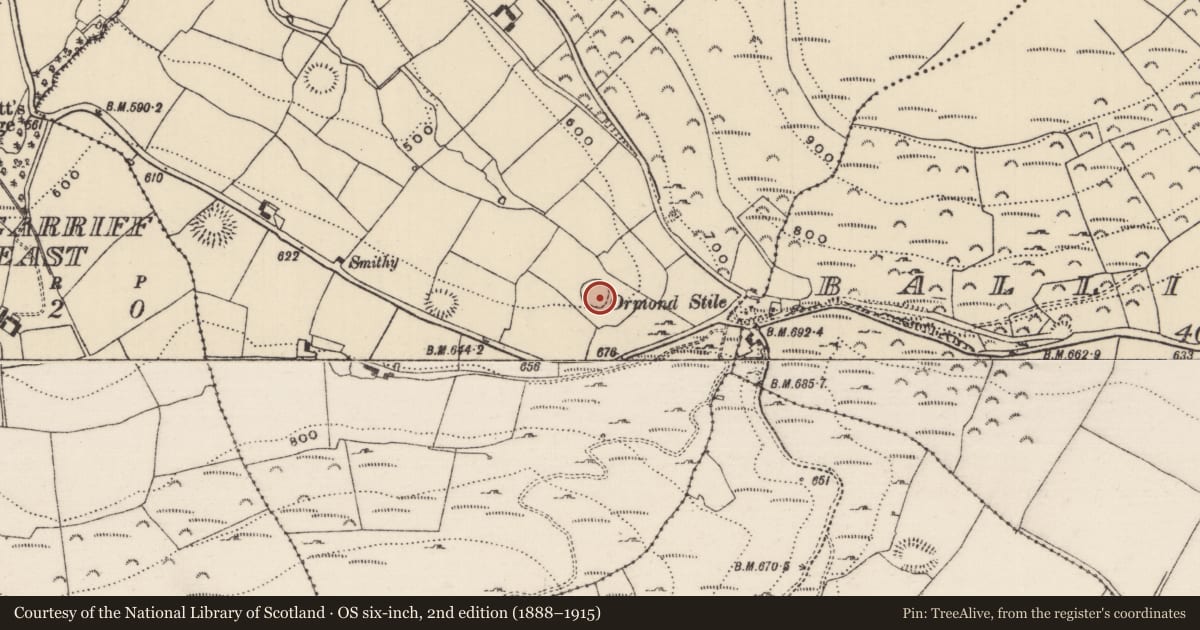 Ordnance Survey six-inch map, 2nd edition (1888–1915) covering the location of Ringfort - cashel, Killeen (Kilnaneave Par.), County Tipperary North, with a pin at the register's coordinates