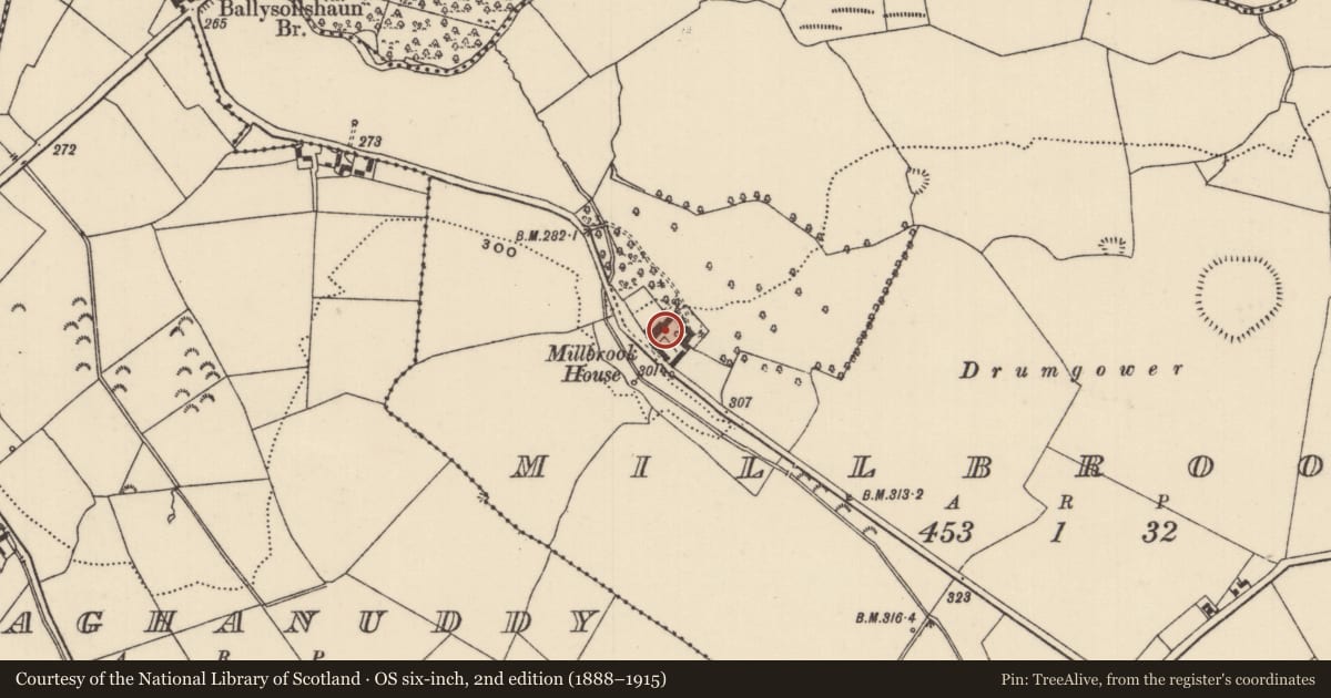 Ordnance Survey six-inch map, 2nd edition (1888–1915) covering the location of Castle - unclassified, Millbrook, County Tipperary North, with a pin at the register's coordinates