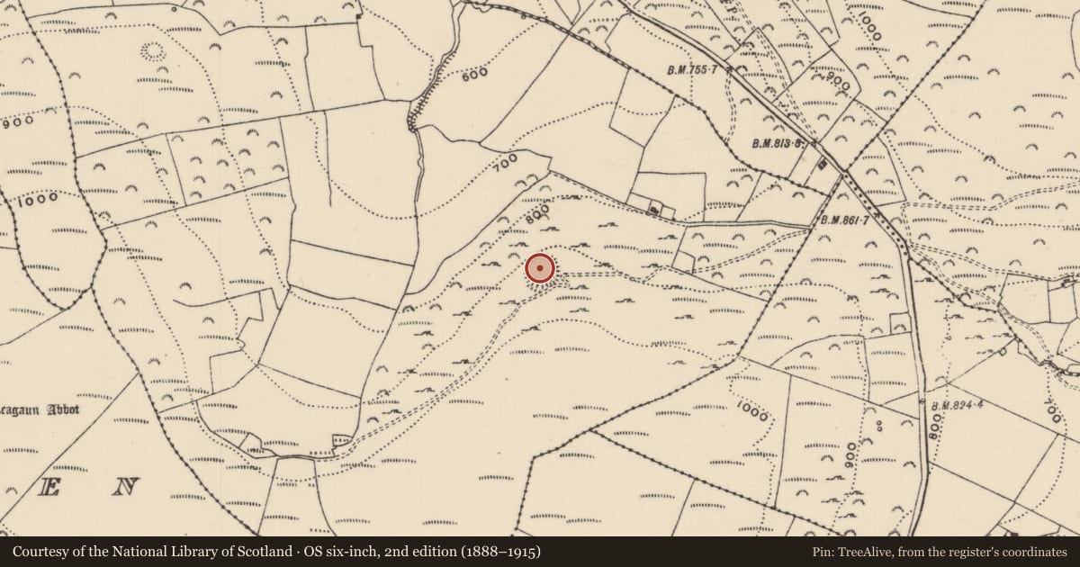 Ordnance Survey six-inch map, 2nd edition (1888–1915) covering the location of Ringfort - rath, Kilnaneave, County Tipperary North, with a pin at the register's coordinates