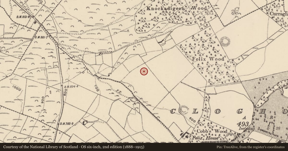 Ordnance Survey six-inch map, 2nd edition (1888–1915) covering the location of Earthwork, Cloghonan, County Tipperary North, with a pin at the register's coordinates