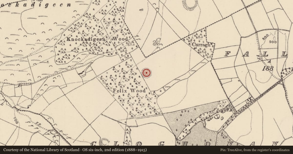 Ordnance Survey six-inch map, 2nd edition (1888–1915) covering the location of Ringfort - rath, Cloghonan, County Tipperary North, with a pin at the register's coordinates