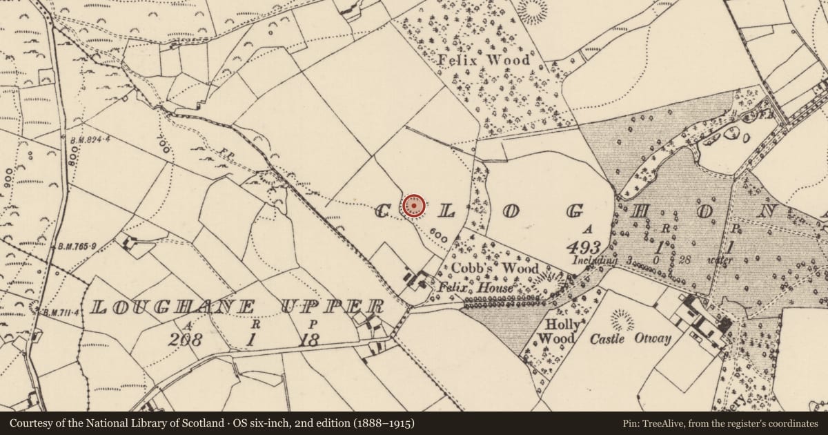Ordnance Survey six-inch map, 2nd edition (1888–1915) covering the location of Ringfort - rath, Cloghonan, County Tipperary North, with a pin at the register's coordinates