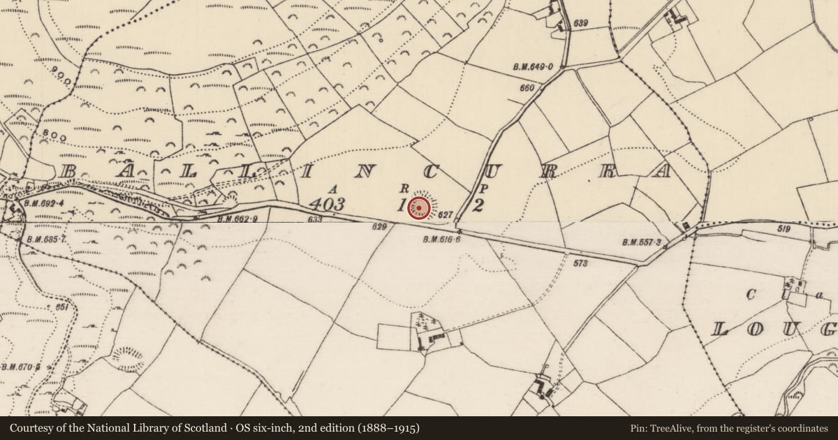 Ordnance Survey six-inch map, 2nd edition (1888–1915) covering the location of Ringfort - rath, Ballincurra, County Tipperary North, with a pin at the register's coordinates