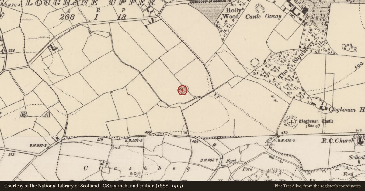 Ordnance Survey six-inch map, 2nd edition (1888–1915) covering the location of Ringfort - rath, Loughane Upper, County Tipperary North, with a pin at the register's coordinates