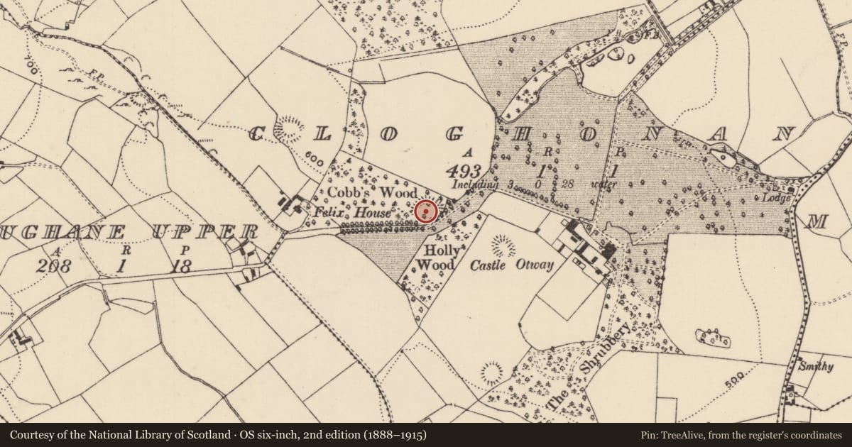 Ordnance Survey six-inch map, 2nd edition (1888–1915) covering the location of Ringfort - rath, Cloghonan, County Tipperary North, with a pin at the register's coordinates