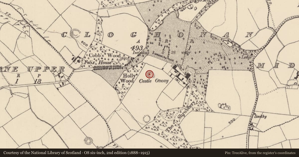 Ordnance Survey six-inch map, 2nd edition (1888–1915) covering the location of Ringfort - rath, Cloghonan, County Tipperary North, with a pin at the register's coordinates