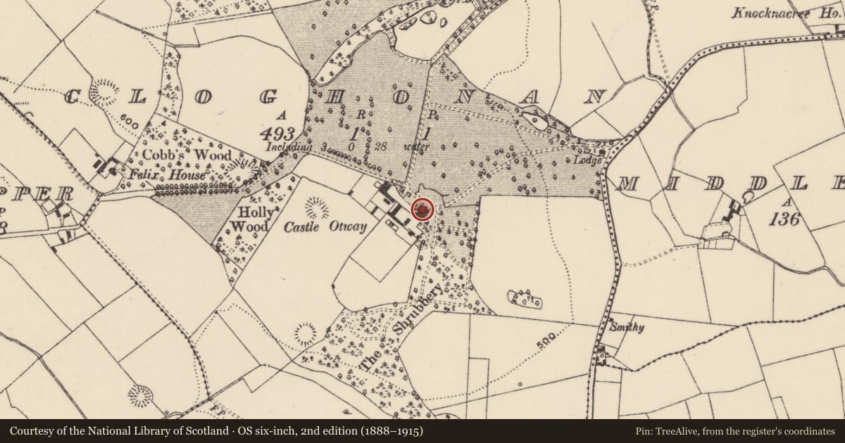 Ordnance Survey six-inch map, 2nd edition (1888–1915) covering the location of Castle - tower house, Cloghonan, County Tipperary North, with a pin at the register's coordinates