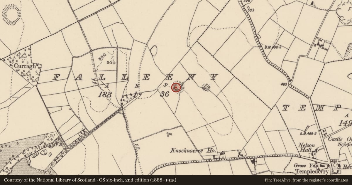 Ordnance Survey six-inch map, 2nd edition (1888–1915) covering the location of Ringfort - rath, Falleeny, County Tipperary North, with a pin at the register's coordinates