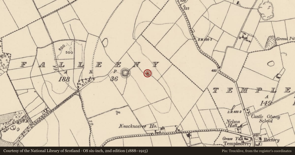 Ordnance Survey six-inch map, 2nd edition (1888–1915) covering the location of Ringfort - rath, Falleeny, County Tipperary North, with a pin at the register's coordinates