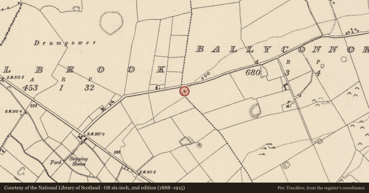Ordnance Survey six-inch map, 2nd edition (1888–1915) covering the location of Road - road/trackway, Ballyconnor, Millbrook, County Tipperary North, with a pin at the register's coordinates