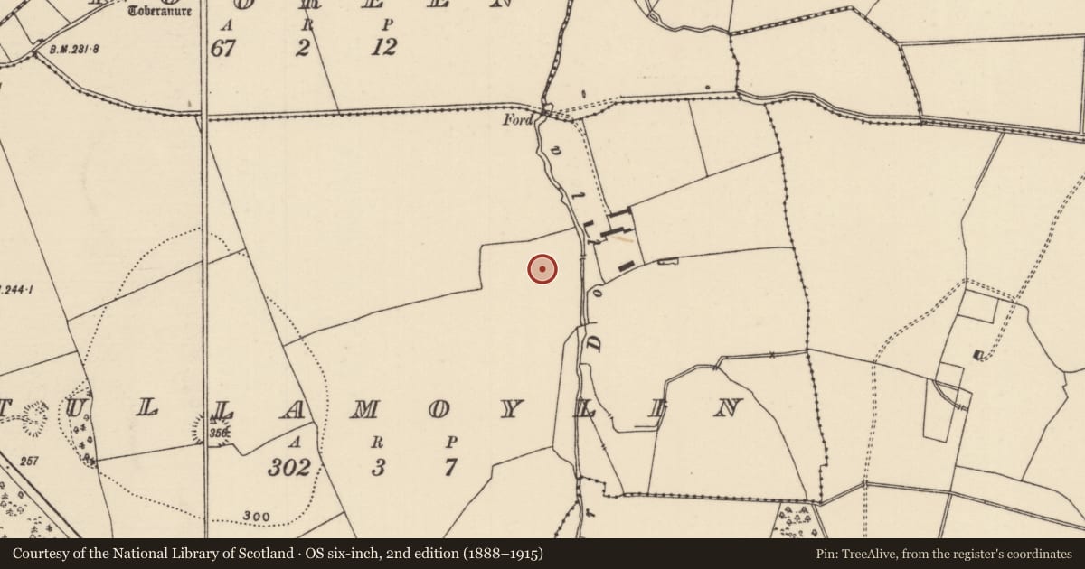 Ordnance Survey six-inch map, 2nd edition (1888–1915) covering the location of Settlement deserted - medieval, Tullamoylin (Ballynaclogh Par.), County Tipperary North, with a pin at the register's coordinates