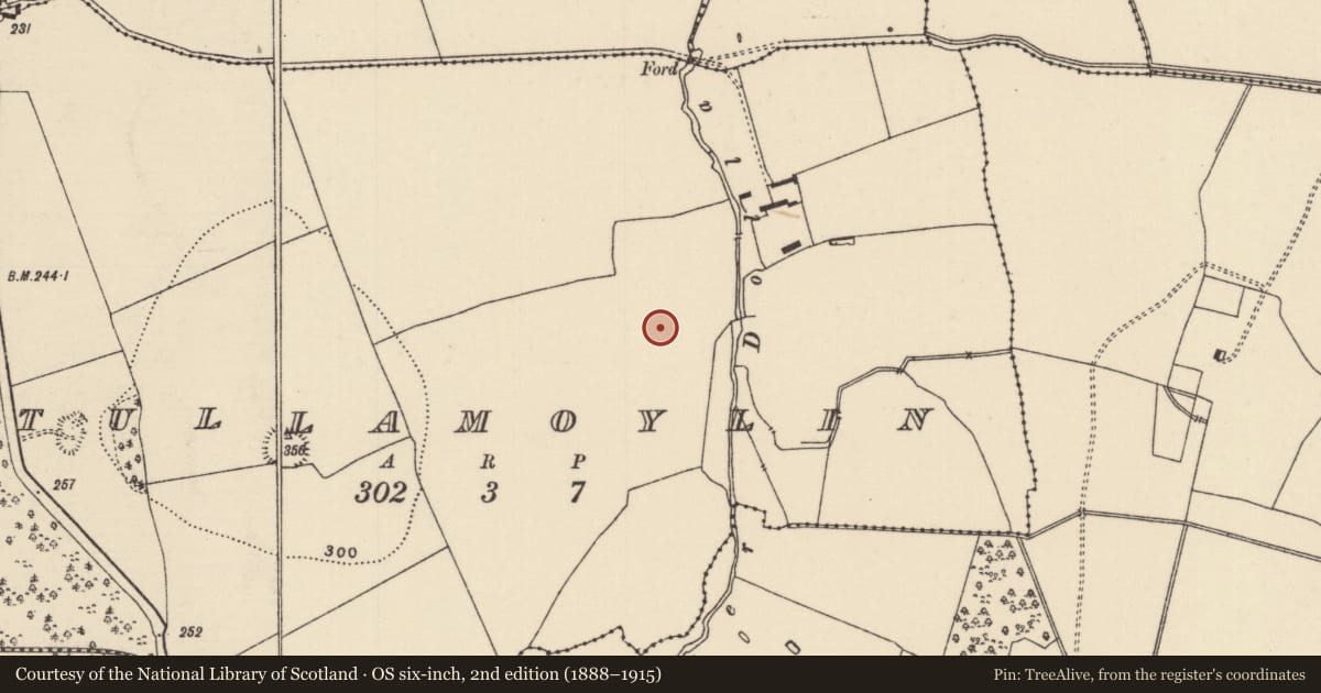 Ordnance Survey six-inch map, 2nd edition (1888–1915) covering the location of Field system, Tullamoylin (Ballynaclogh Par.), County Tipperary North, with a pin at the register's coordinates