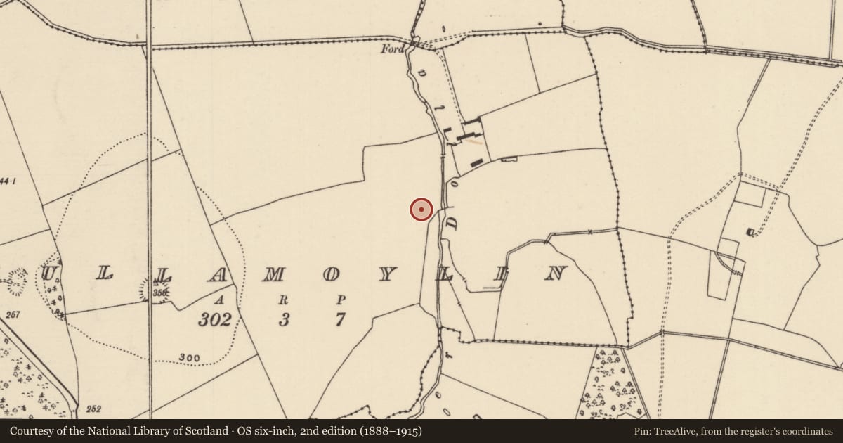 Ordnance Survey six-inch map, 2nd edition (1888–1915) covering the location of Castle - tower house, Tullamoylin (Ballynaclogh Par.), County Tipperary North, with a pin at the register's coordinates
