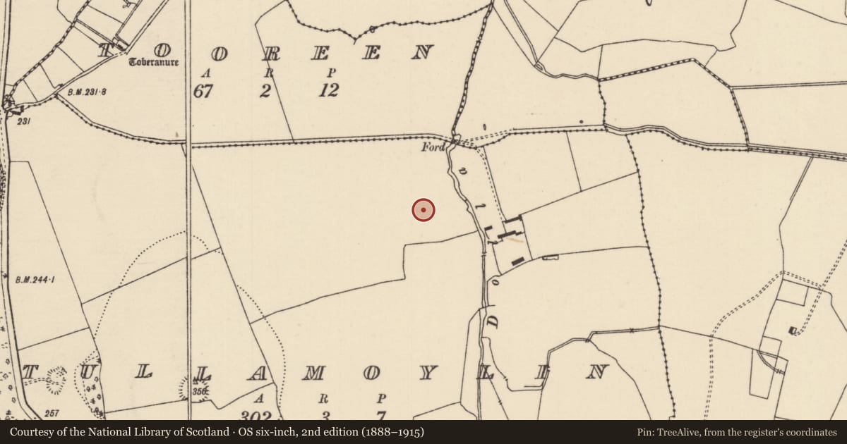 Ordnance Survey six-inch map, 2nd edition (1888–1915) covering the location of Road - hollow-way, Tullamoylin (Ballynaclogh Par.), County Tipperary North, with a pin at the register's coordinates