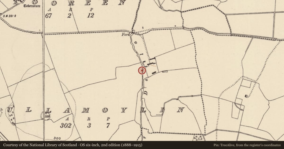 Ordnance Survey six-inch map, 2nd edition (1888–1915) covering the location of Water mill - unclassified, Tullamoylin (Ballynaclogh Par.), County Tipperary North, with a pin at the register's coordinates