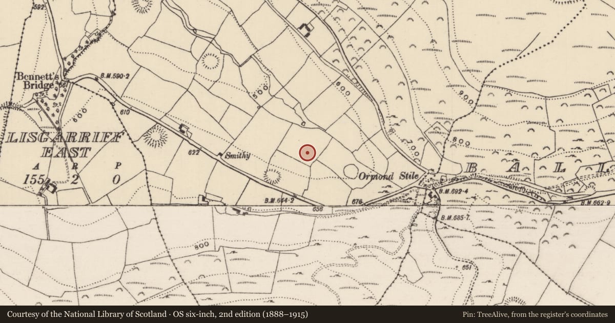 Ordnance Survey six-inch map, 2nd edition (1888–1915) covering the location of Standing stone, Killeen (Kilnaneave Par.), County Tipperary North, with a pin at the register's coordinates