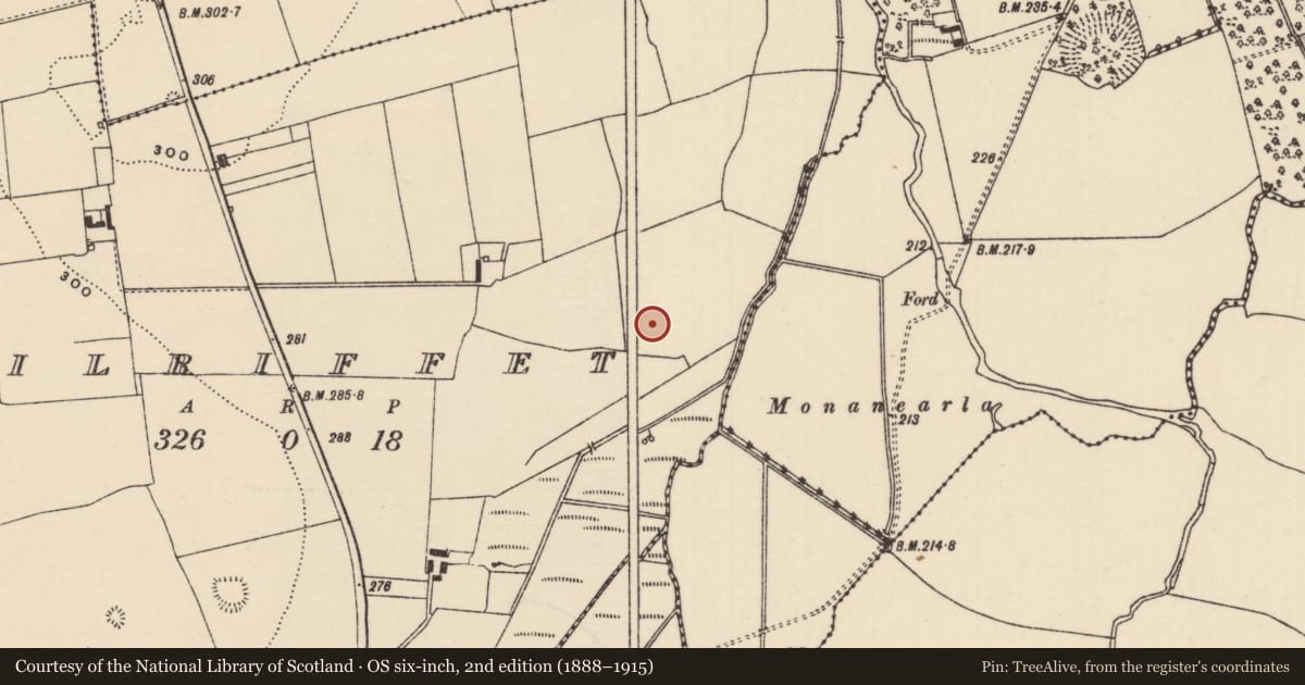 Ordnance Survey six-inch map, 2nd edition (1888–1915) covering the location of Cross - High cross, Kilriffet, County Tipperary North, with a pin at the register's coordinates