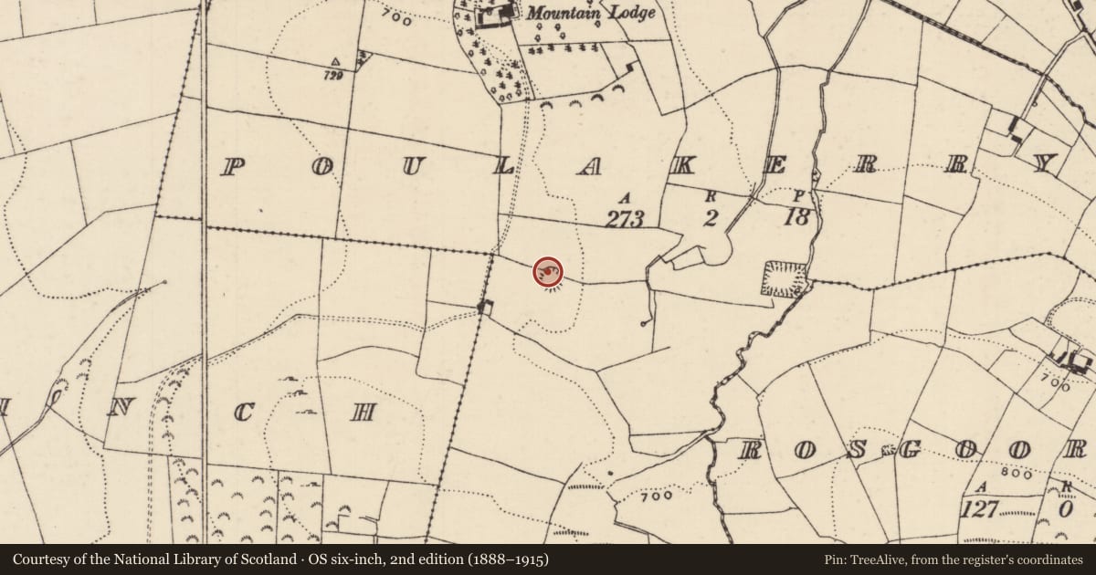 Ordnance Survey six-inch map, 2nd edition (1888–1915) covering the location of Ringfort - rath, Poulakerry (Kilkeary Par.), County Tipperary North, with a pin at the register's coordinates