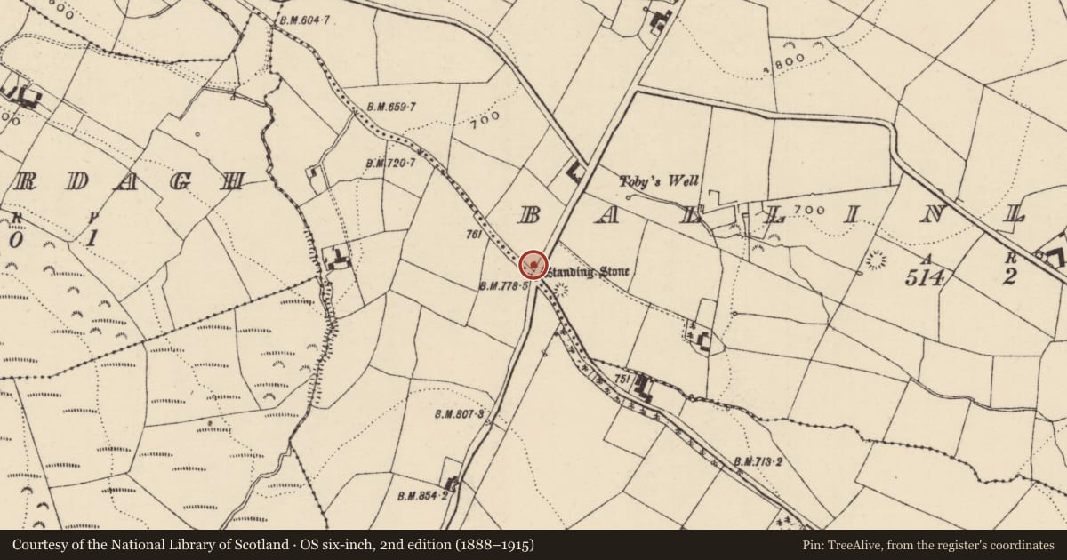 Ordnance Survey six-inch map, 2nd edition (1888–1915) covering the location of Standing stone, Ballinlough (Aghnameadle Par.), County Tipperary North, with a pin at the register's coordinates